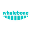 Whalebone